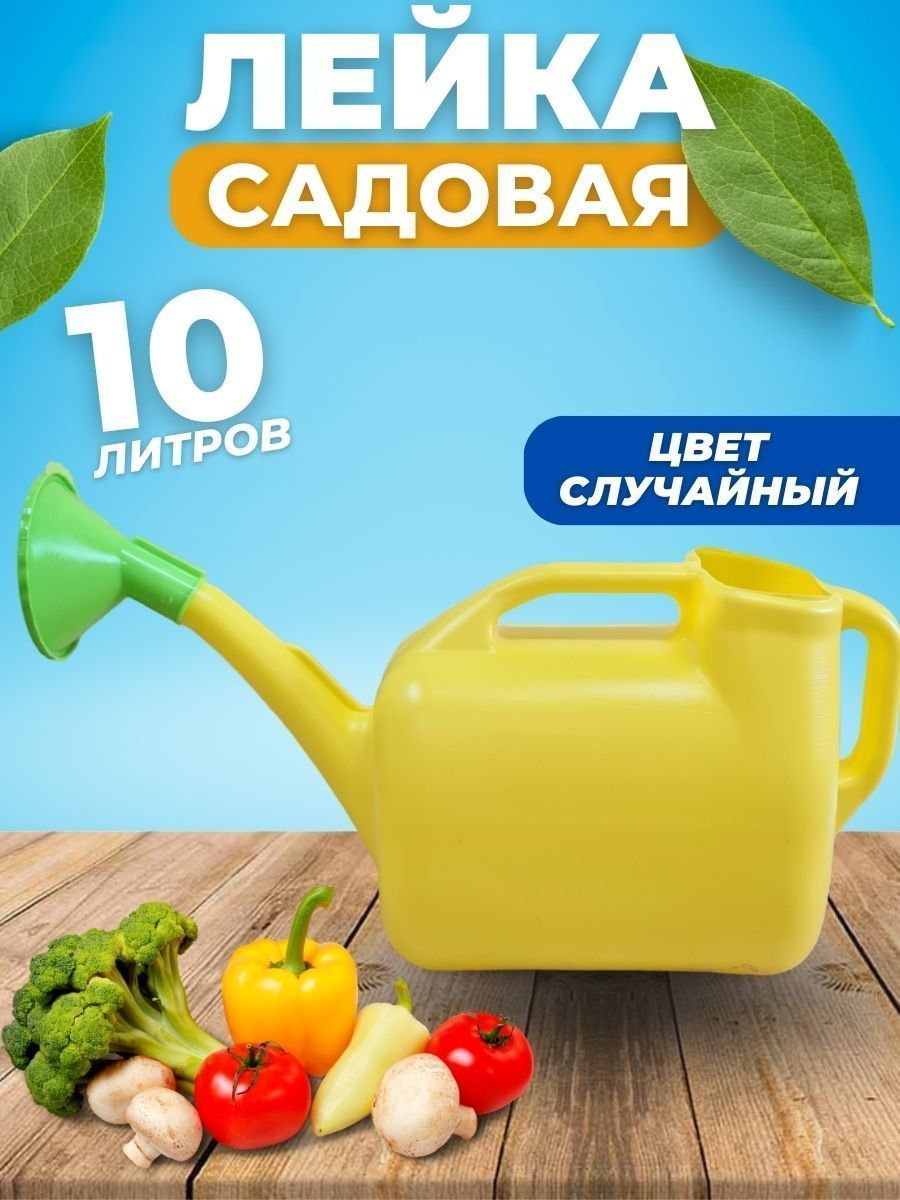 Лейка для рассады 1 литр. Лейка 40 литров Садовая. Как сделать лейку для рассады. Лейка 10л Садовая МИЛИХ.