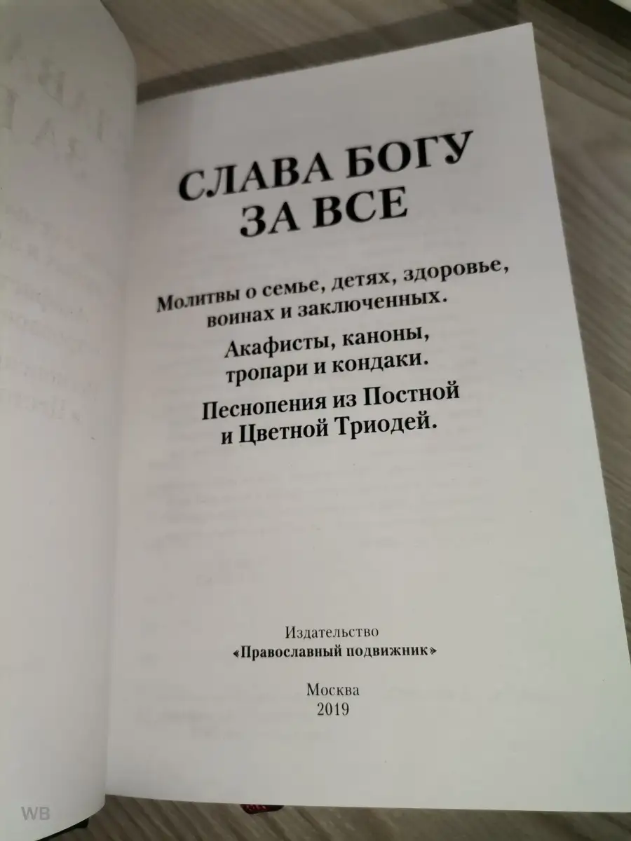 Молитвослов СЛАВА БОГУ ЗА ВСЕ. Молитвы о семье, детях, здоро Православный  подвижник 79580879 купить в интернет-магазине Wildberries