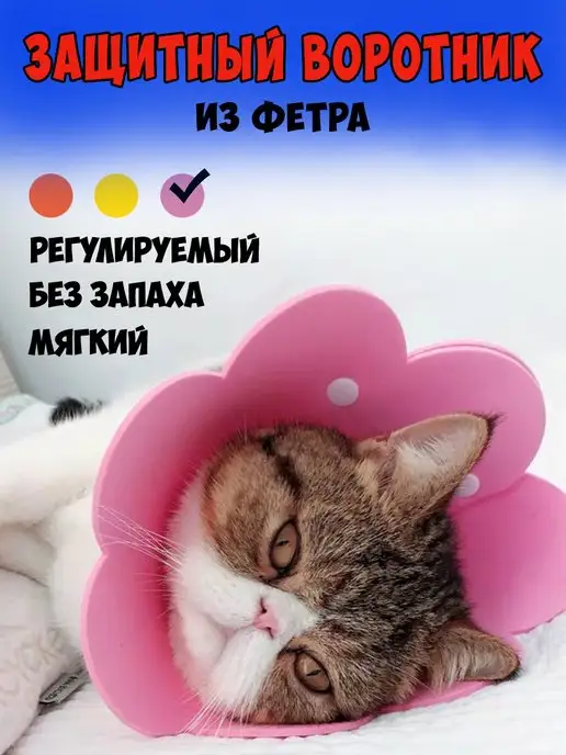 ЛайКис Воротник для кошек, вариант