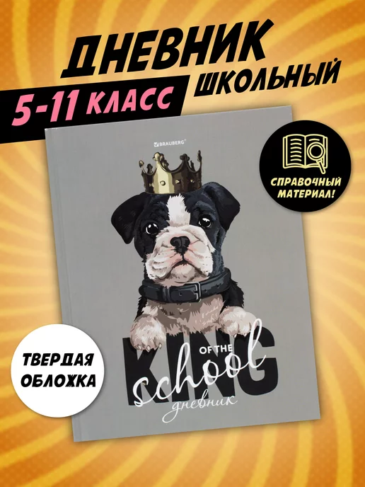 Brauberg Дневник школьный 5-11 класс для девочек в твердой обложке, серый