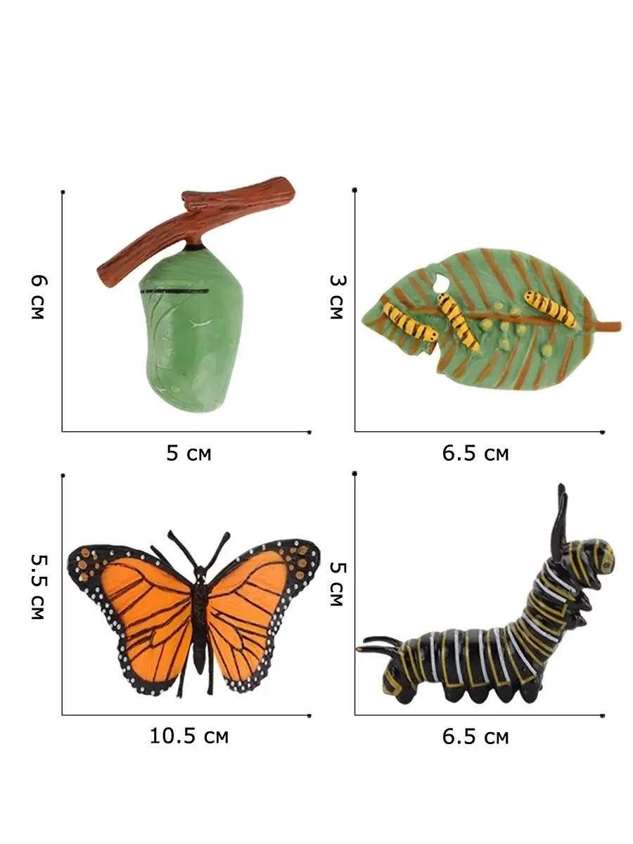 Обучающий набор фигурок, жизненный цикл бабочки Animal paradise 79835239  купить за 819 ₽ в интернет-магазине Wildberries