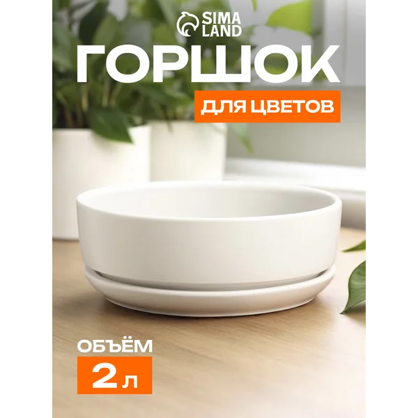 Горшок бонсайница «Огма»