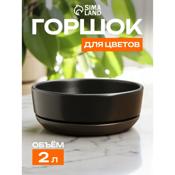 Горшок — бонсайница «Огма»