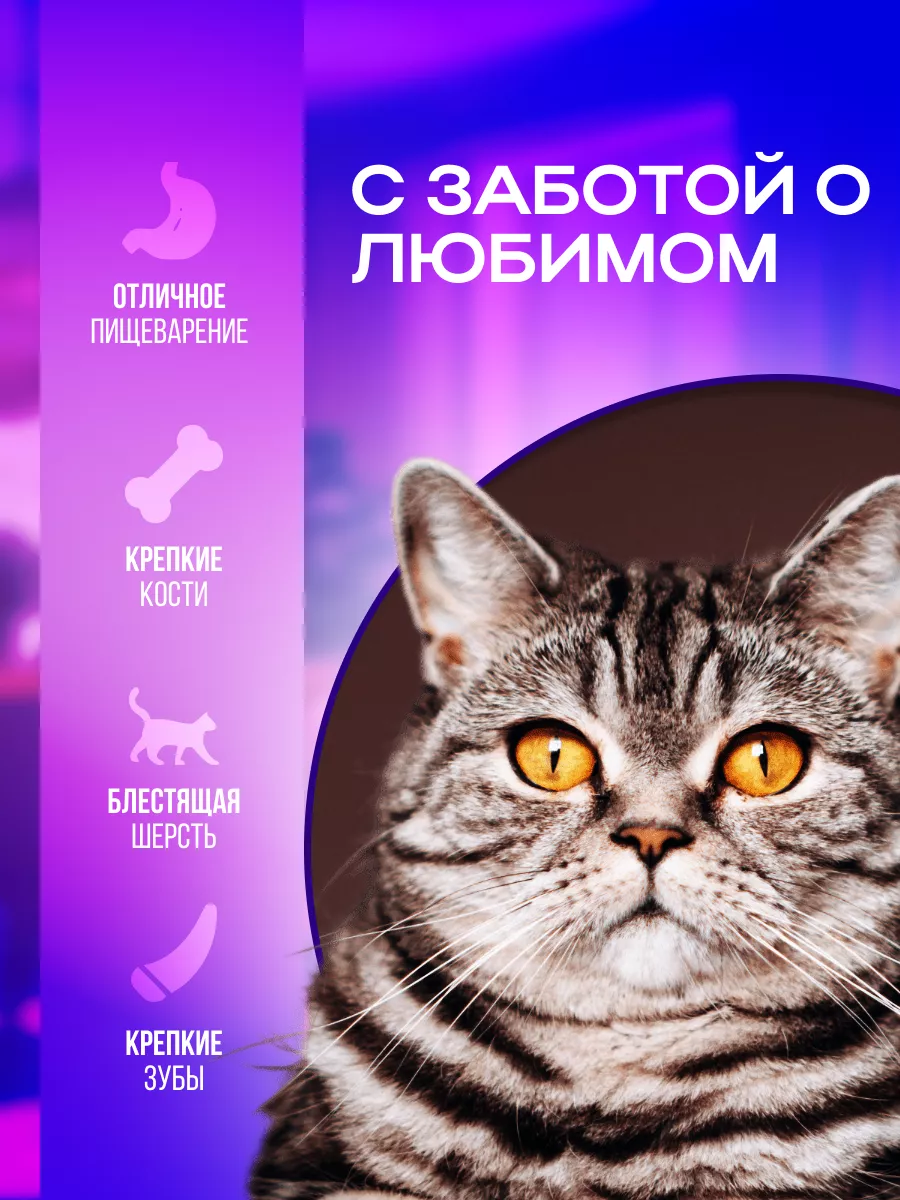 Сухой корм для кошек говядина CAT MAN 1.9 кг Cat&Man 80027599 купить за 561  ₽ в интернет-магазине Wildberries