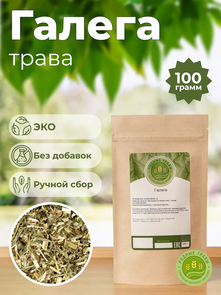Галега лекарственная трава (Козлятник)