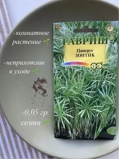 Циперус "Зонтик" семена Стильные цветы 80093018 купить за 230 ₽ в интернет-магазине Wildberries