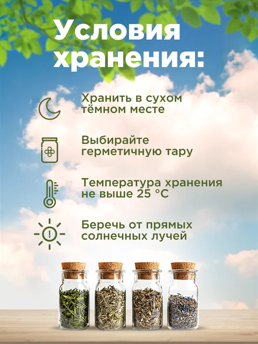 Родные травы Чертополох трава, горная Адыгея, вариант, фото 4