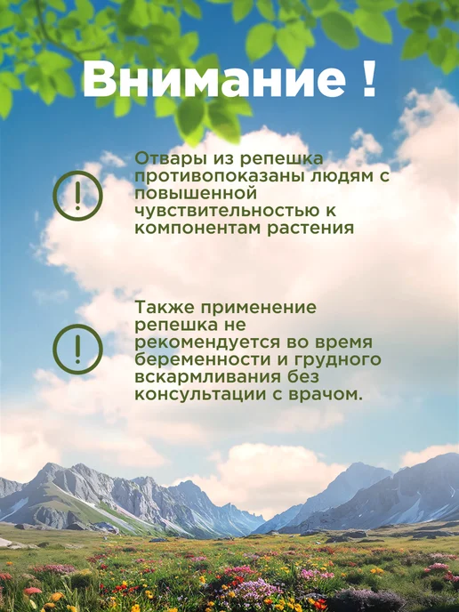 Родные травы Чертополох трава, горная Адыгея, вариант, фото 5