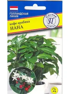 Кофе арабика "Нана" Стильные цветы 80106388 купить за 143 ₽ в интернет-магазине Wildberries