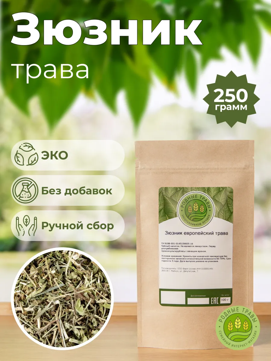 Зюзник европейский трава