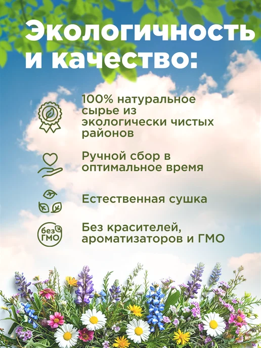 Родные травы Софора японская плоды семена, вариант, фото 2