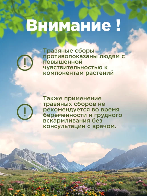 Родные травы Софора японская плоды семена, вариант, фото 4