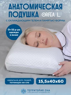 Подушка анатомическая Orfea L 60х40х15 территория сна 80133326 купить за 7 172 ₽ в интернет-магазине Wildberries