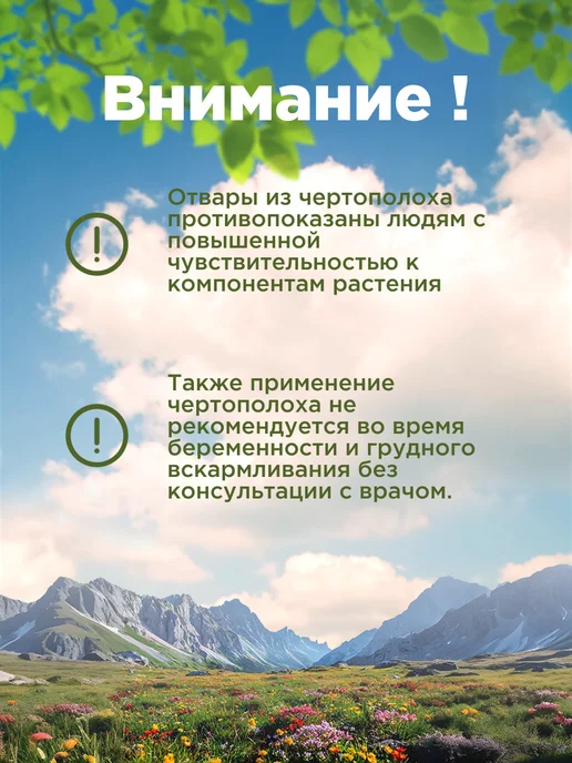 Родные травы Чертополох трава, горная Адыгея, вариант, фото 5