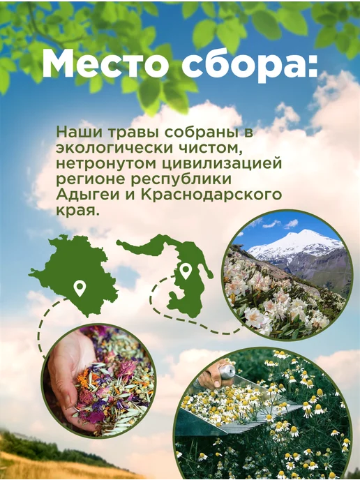 Родные травы Пижма трава для заваривания обыкновенная сушеная, вариант, фото 2