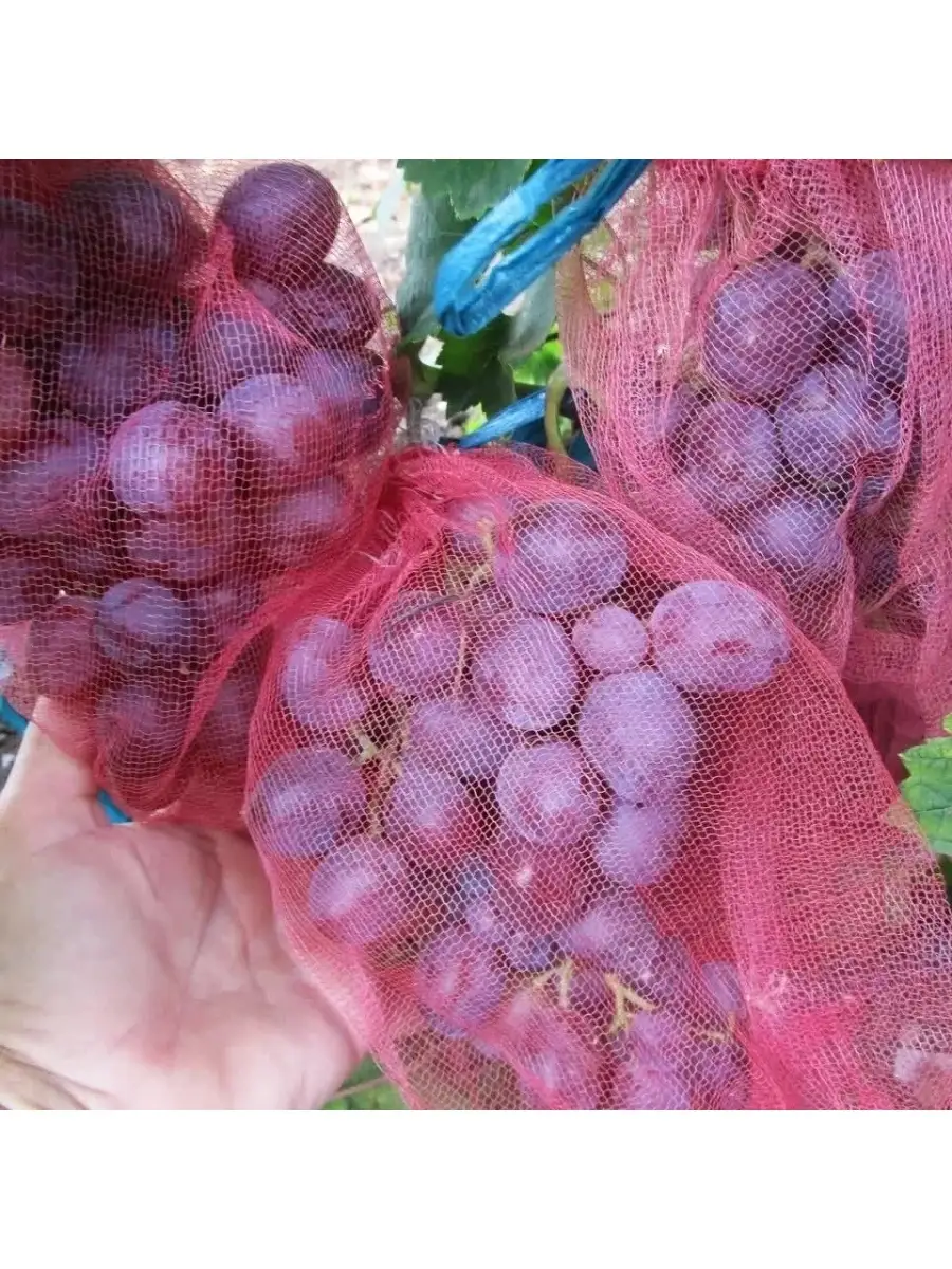 Видео мастер-класс: делаем виноград из лент: Мастер-Классы в журнале Ярмарки Мастеров
