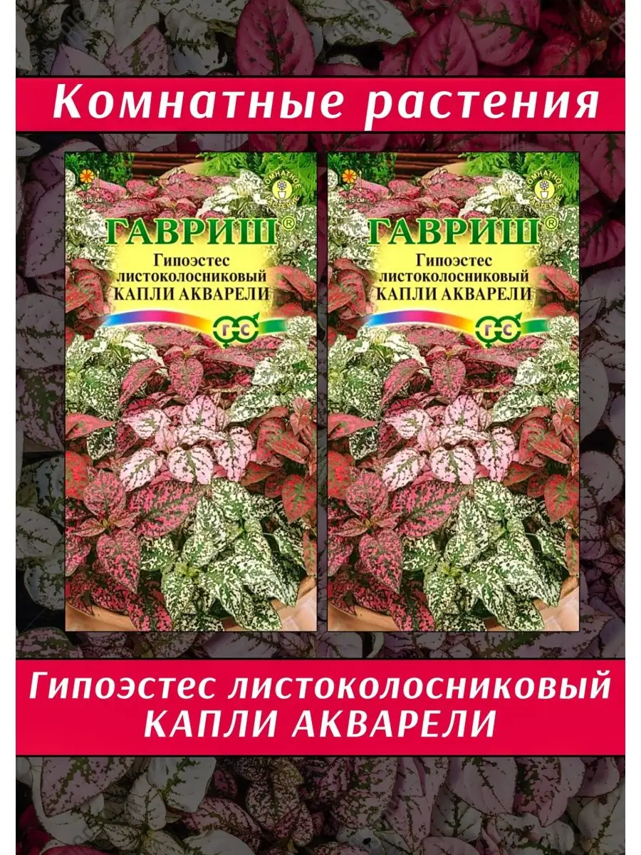 Гипоэстес Капли Акварели Комнатные растения Гавриш 80432778 купить за 162 ₽  в интернет-магазине Wildberries