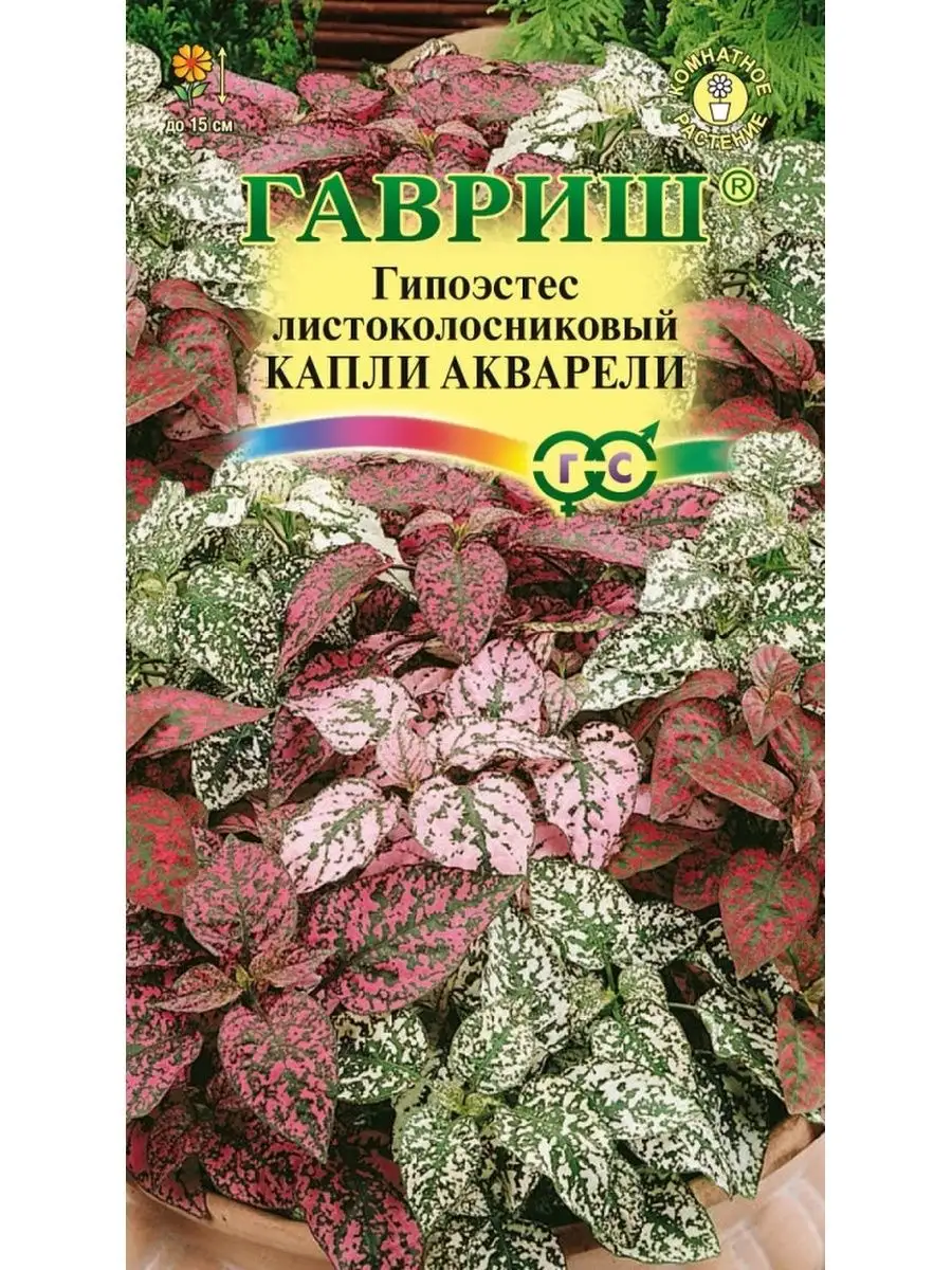 Гипоэстес Капли Акварели Комнатные растения Гавриш 80432778 купить за 162 ₽  в интернет-магазине Wildberries