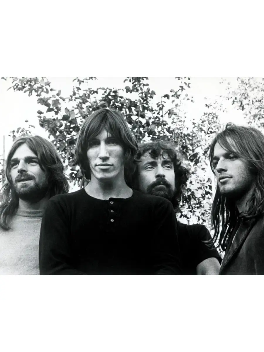 pink floyd members alive