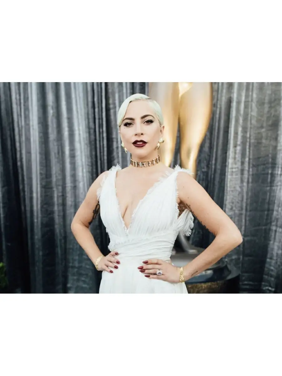 lady gaga net worth when did lady gaga became famous - Ilustrasi 2