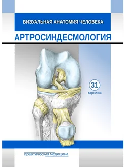 Анатомия человека. Синдесмология. КАРТОЧ Практическая медицина 80781199 купить за 464 ₽ в интернет-магазине Wildberries