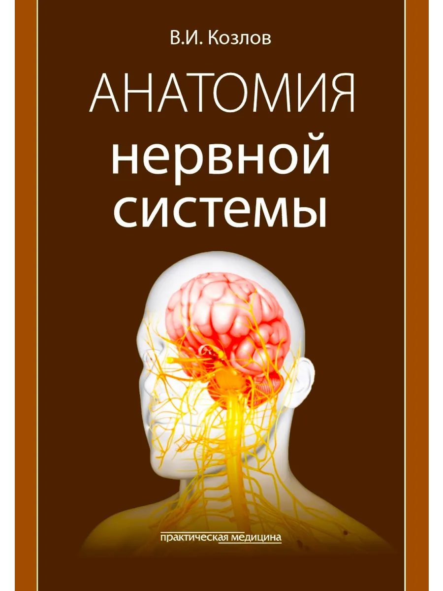 Анатомия нервной системы Учебное пособие