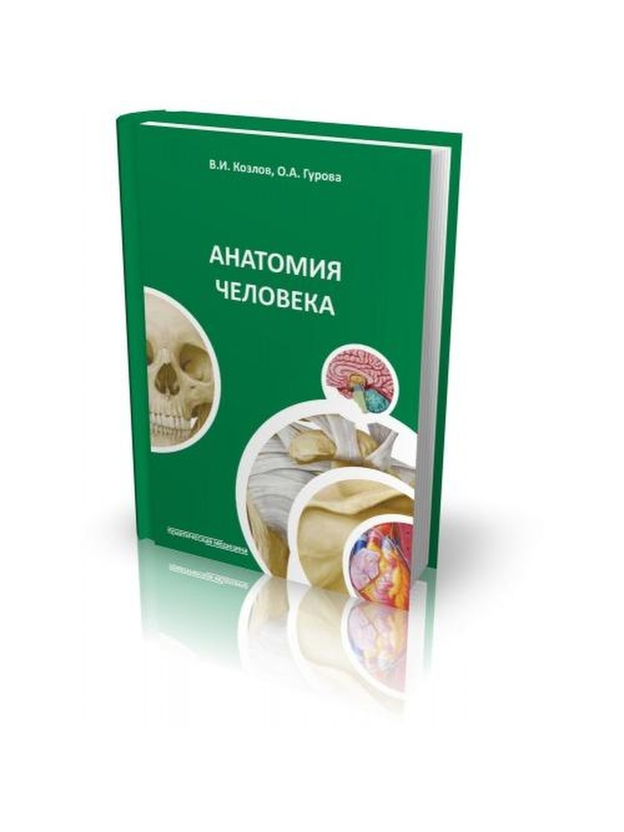 Книга про медицину анатомия.