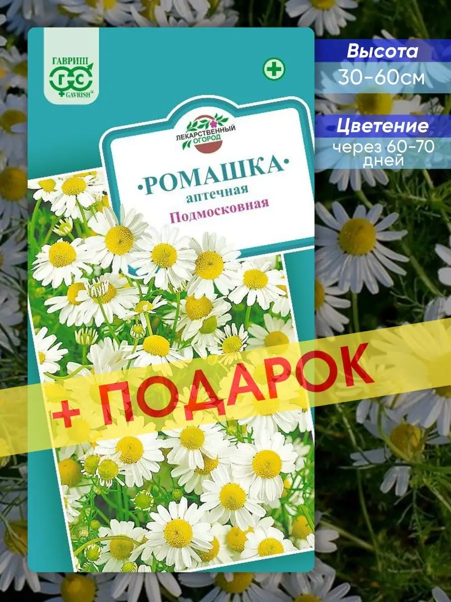 Семена Ромашка аптечная Подмосковная Гавриш 80974270 купить за 134 ₽ в  интернет-магазине Wildberries