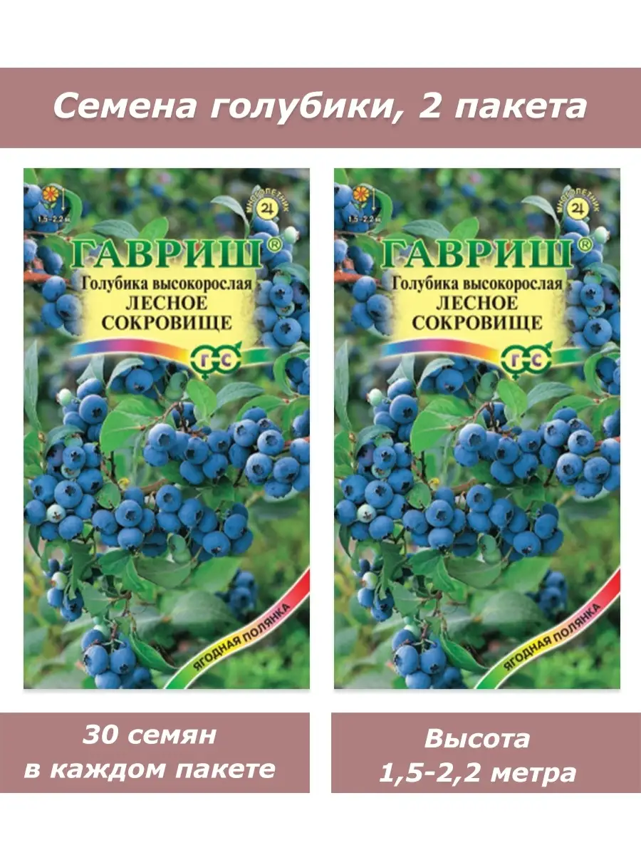 Семена голубики садовой Гавриш 80982331 купить за 349 ₽ в интернет-магазине  Wildberries