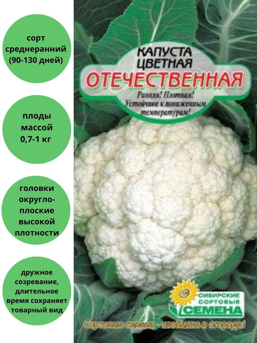 Цветная капуста коза описание сорта. Сорт капусты коза Дереза. Капуста коза Дереза семена. Капуста цветная коза Дереза. Капуста цветная коза Дереза описание.