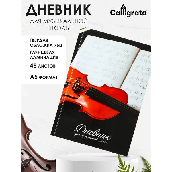 Дневник для музыкальной школы, «Скрипка»