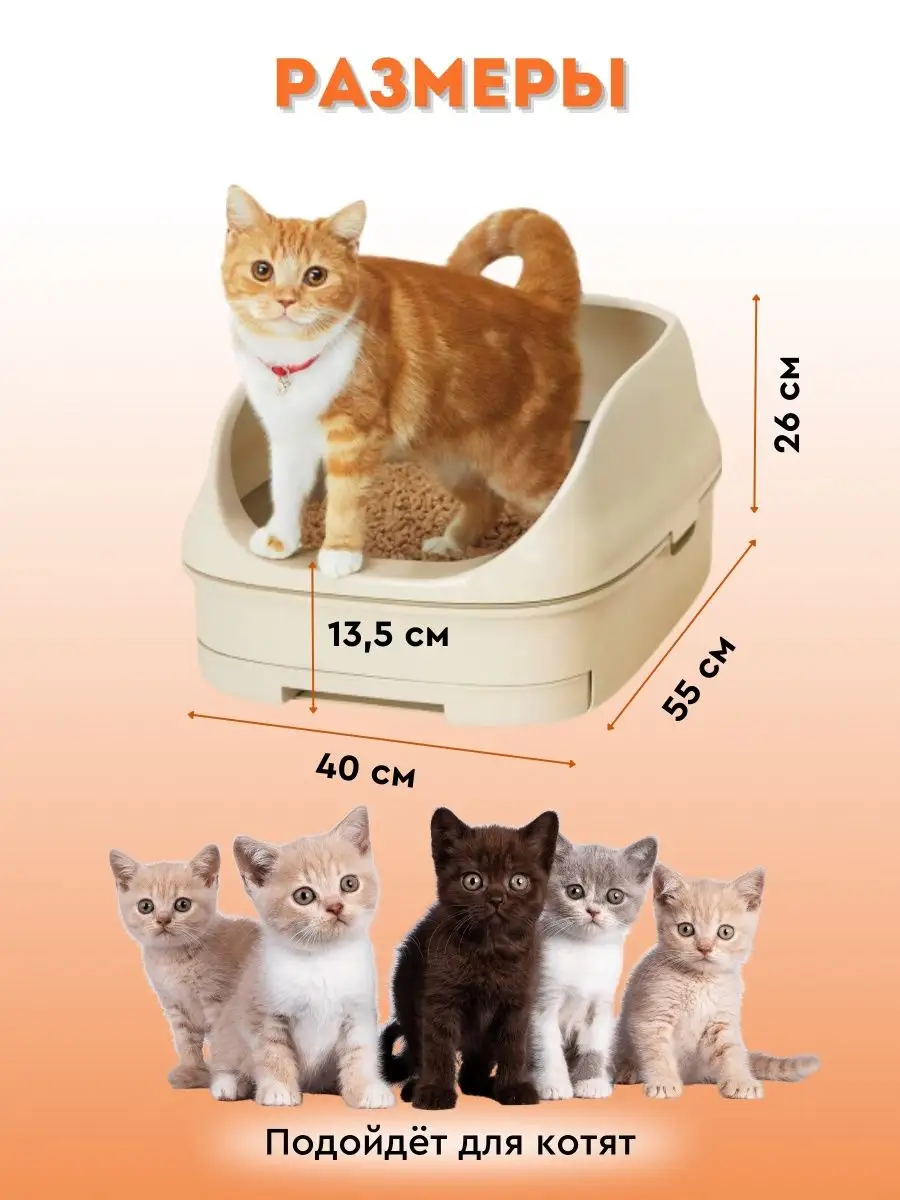 Как правильно обустроить кошачий туалет | Блог зоомагазина GoodZoo