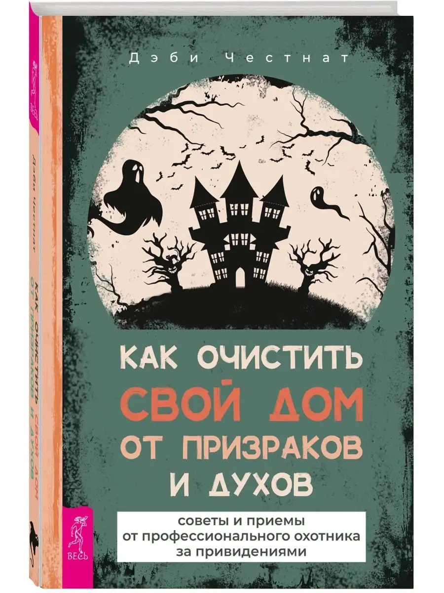 Как очистить свой дом от призраков и духов: советы и приемы Издательская  группа Весь 81333278 купить за 108 ₽ в интернет-магазине Wildberries