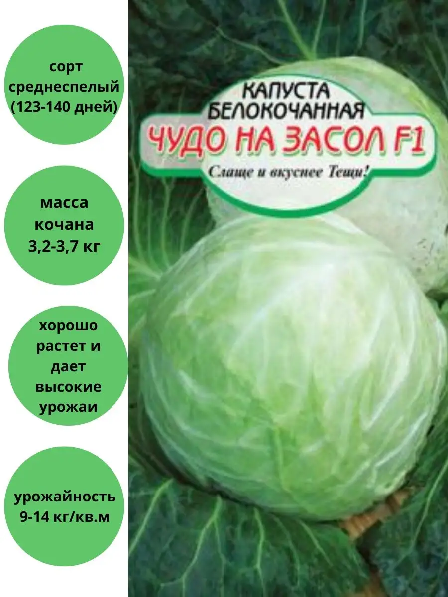 Капуста Чудо на Засол белокочанная Сибирские сортовые семена 81347880  купить в интернет-магазине Wildberries