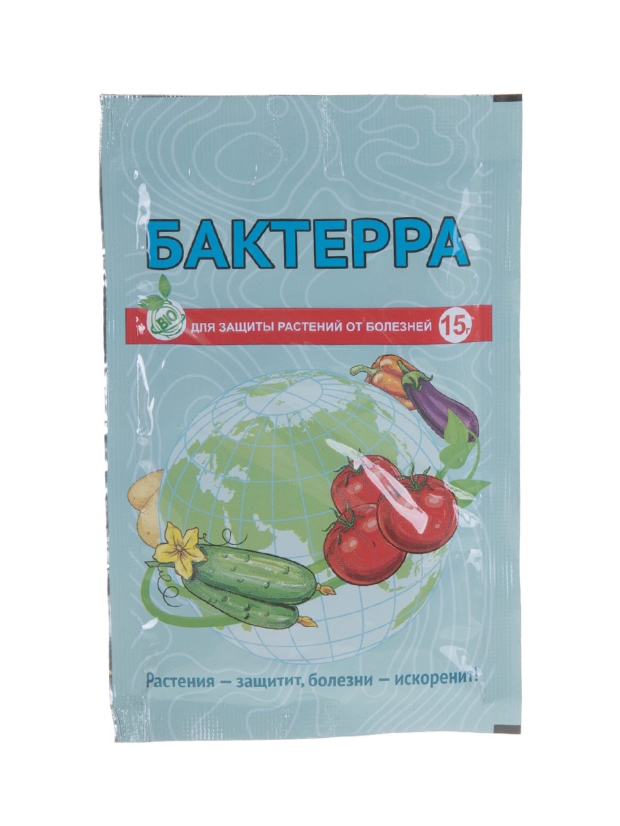 Бактерра фунгицид. Бактерра препарат. Бактерра микробиол препарат от болезней 15гр вх/200. Бактерра 30 г для защиты растений от болезней.