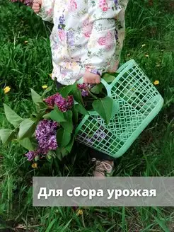Корзинка Храни красиво. Цвет зеленый. Вид 4.