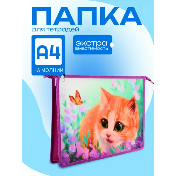 Папка школьная для тетрадей А4, пластиковая