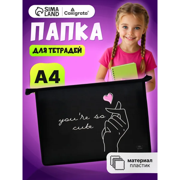 Папка сумка школьная для труда и тетрадей А4