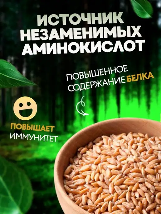 Здоровая Семья от А до Я Полба цельная крупа, 2 кг, 500 г, фото 2