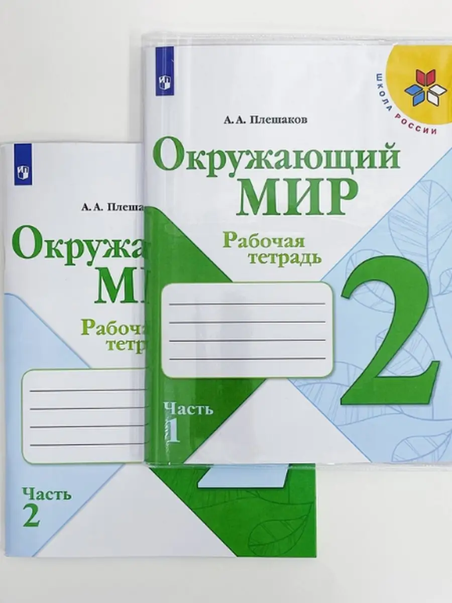 Окружающий мир 2 класс рабочая тетрадь Плешаков Просвещение 81685375 купить  в интернет-магазине Wildberries