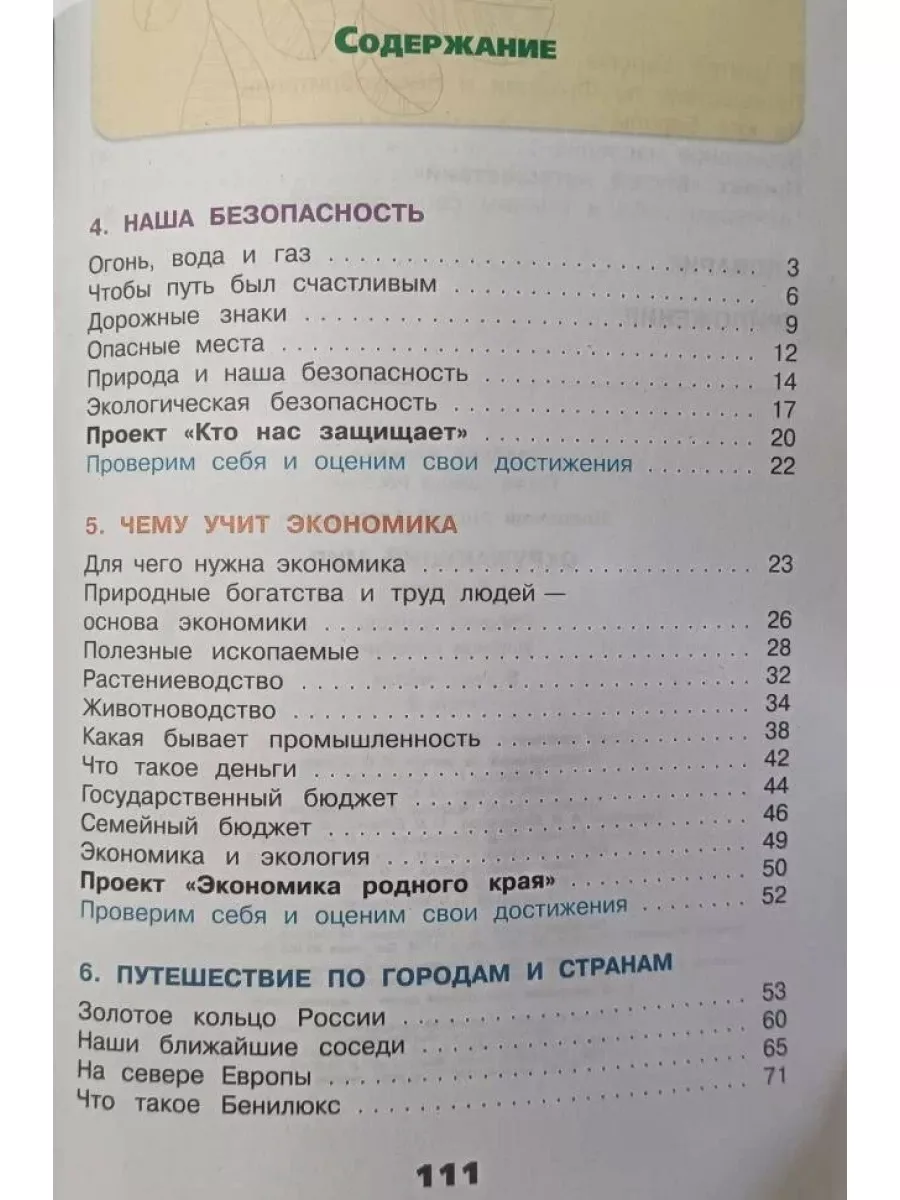 Окружающий мир 3 класс рабочая тетрадь Плешаков Просвещение 81694898 купить  в интернет-магазине Wildberries