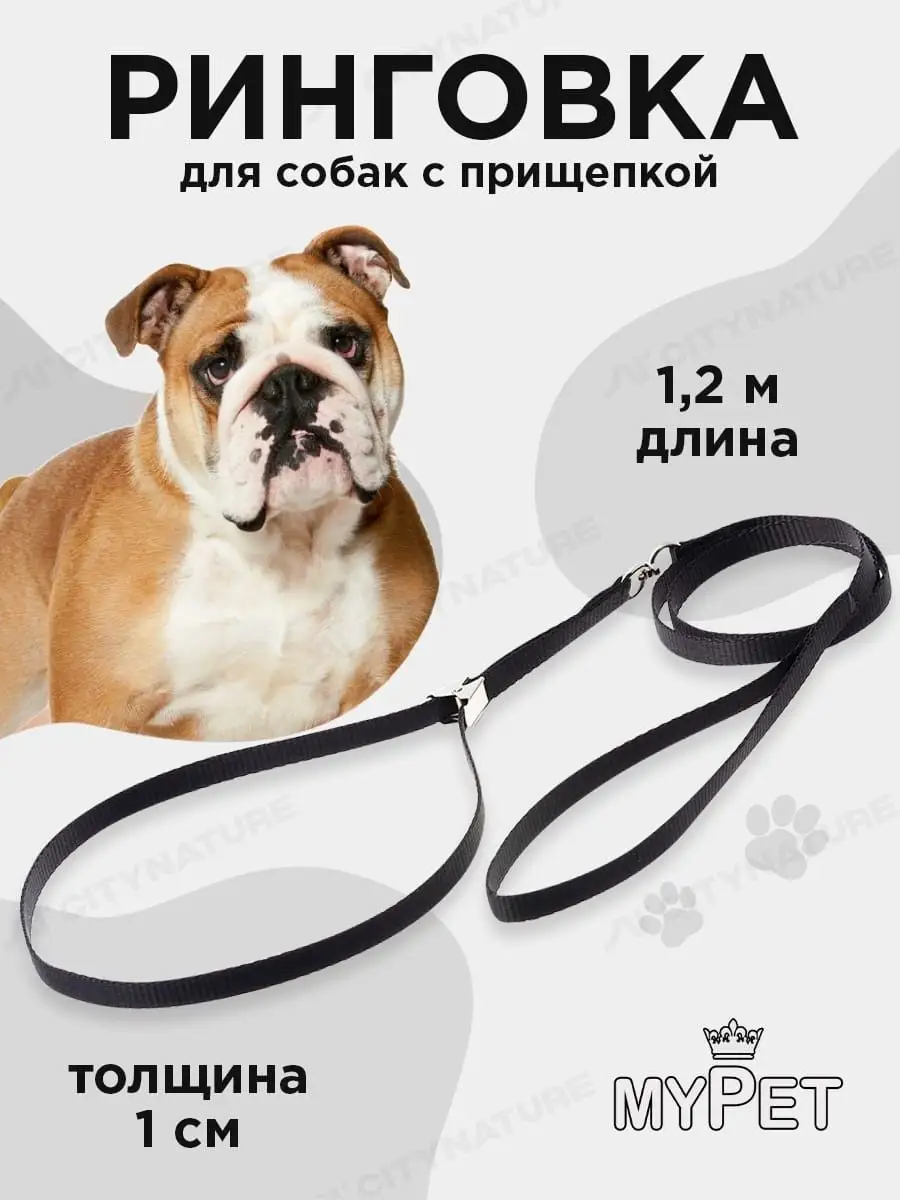 Ринговка для собак поводок удавка для выставки и груминга