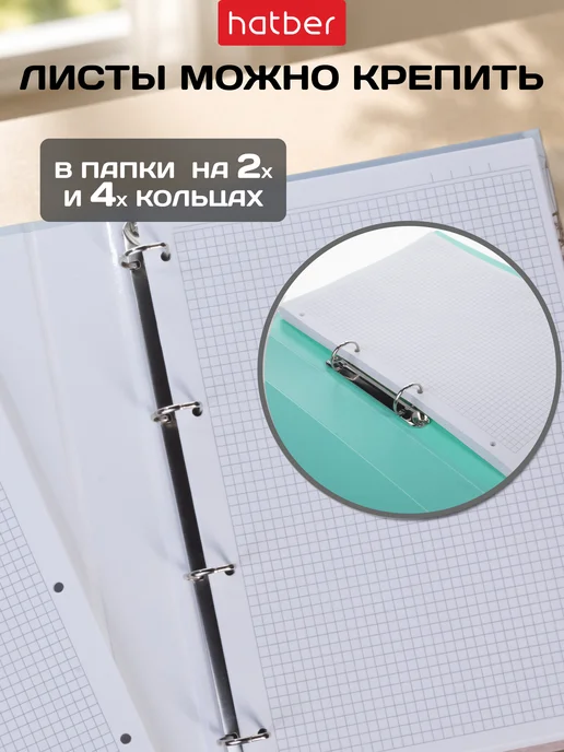Hatber Сменный блок для тетради на кольцах а4, вариант, фото 5