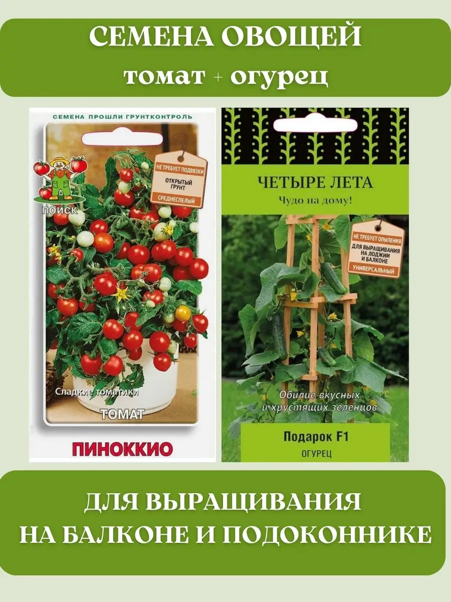 Семена томатов черри низкорослые Агрохолдинг Поиск 81829674 купить за 170 ₽  в интернет-магазине Wildberries