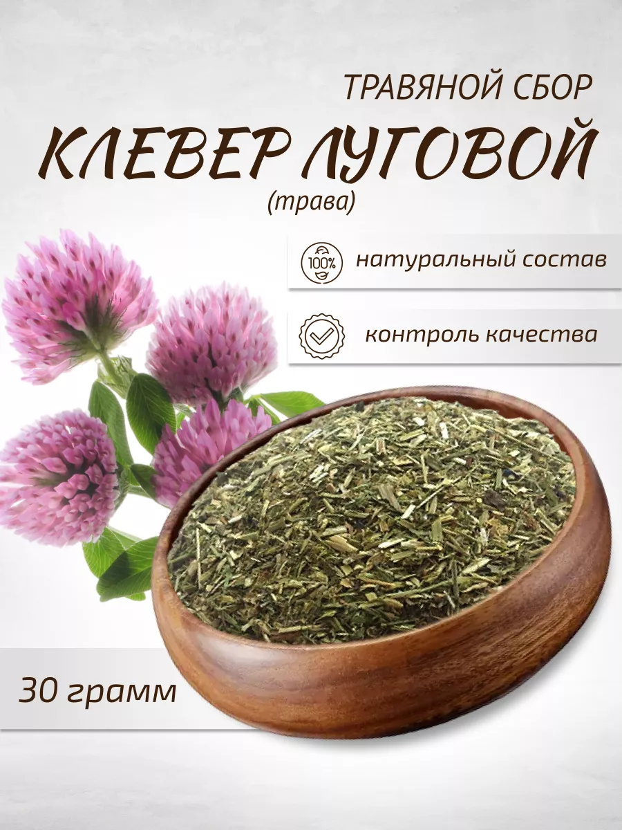 Клевер луговой (Trifolium pratense) - описание, полезные свойства