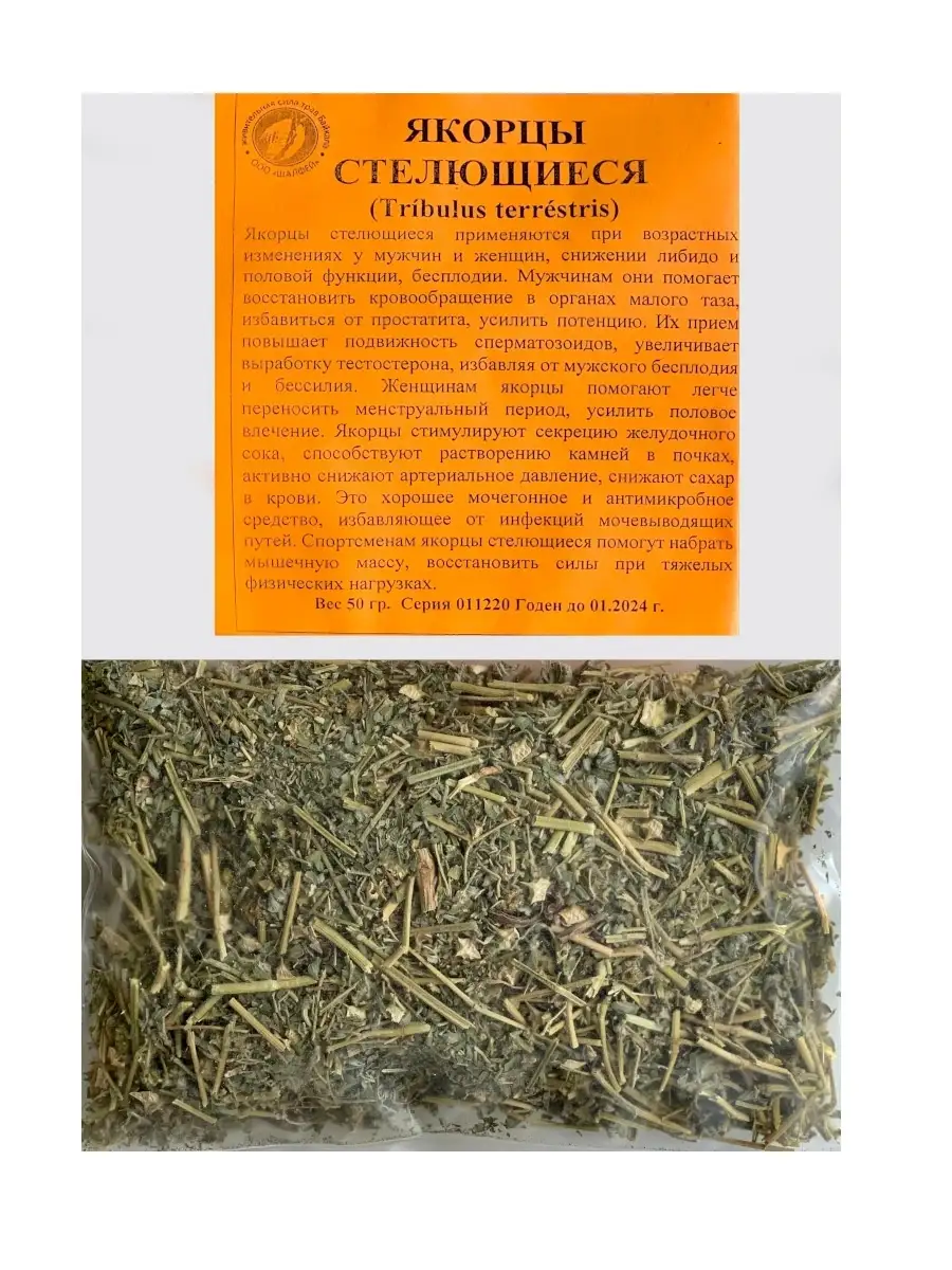 Якорец стелющийся как принимать. Якорец стелющийся как принимать. Якорцы ползучие. Якорцы стелющиеся (трибулус). Чай якорцы трава, 50 гр.
