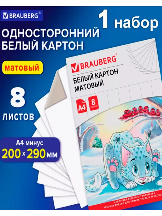 Brauberg Картон белый А4 8 листов 1 набор, белый