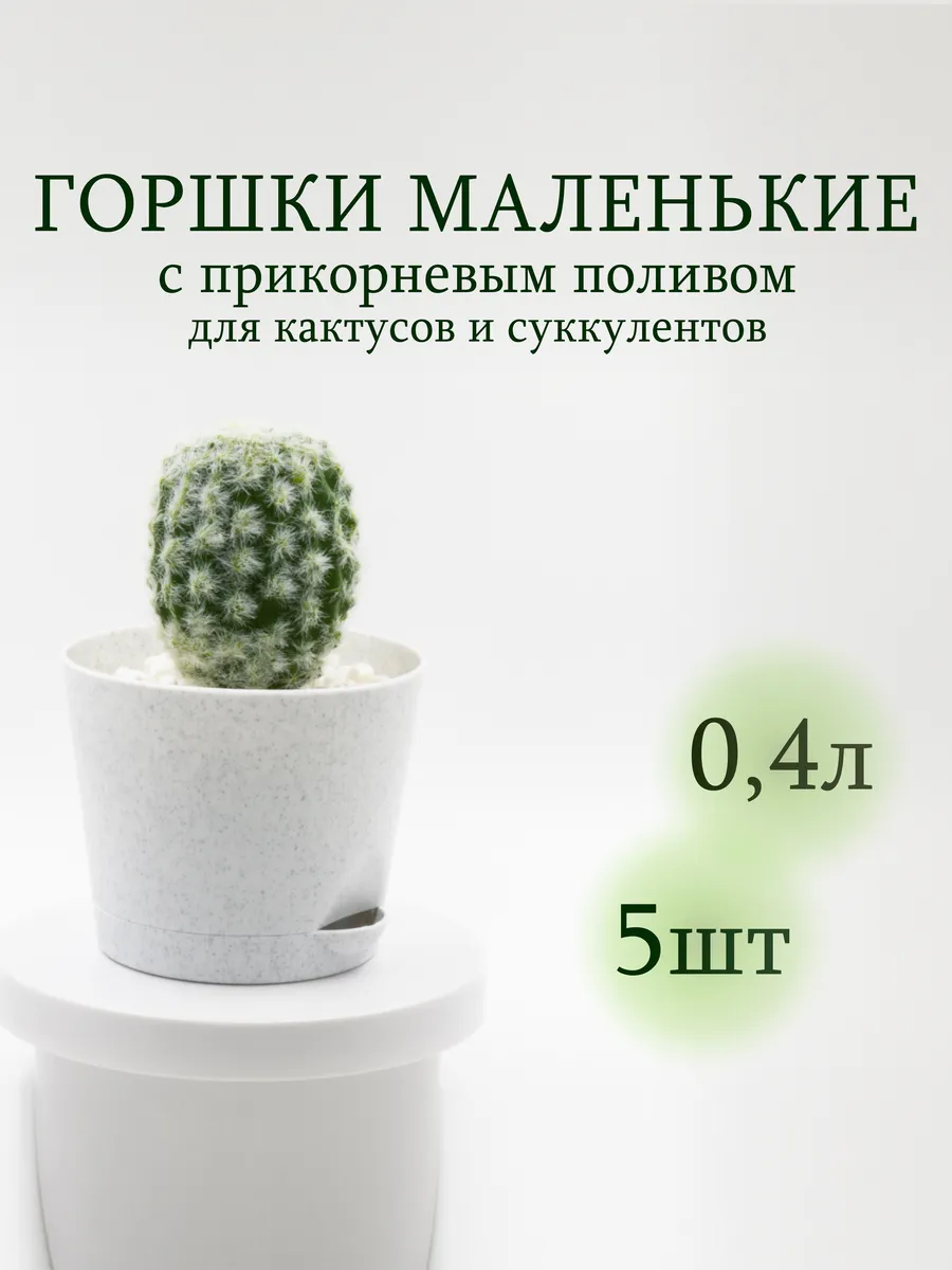 Кашпо для кактусов суккулентов и цветов маленькие набор