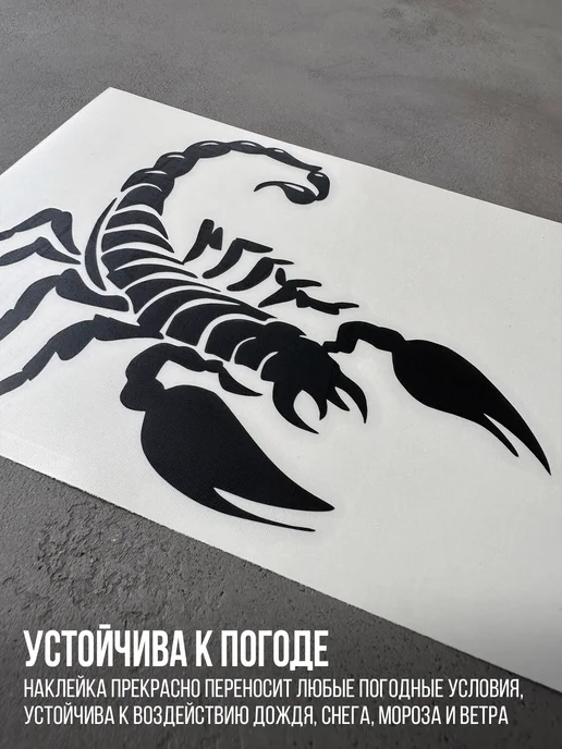 Наклейкин Наклейка на авто "Скорпион", 16 см, черный, фото 3