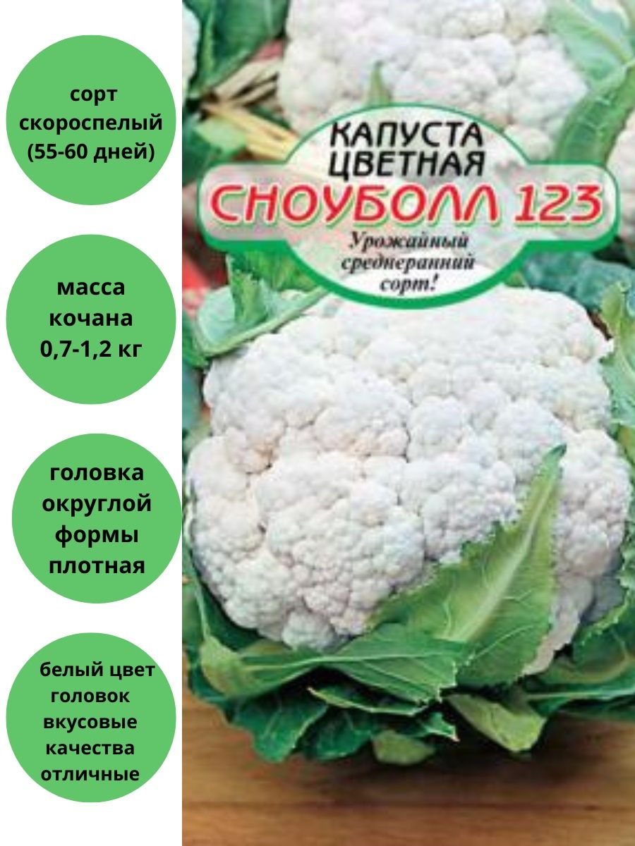 Сноуболл капуста цветная отзывы описание. Капуста Сноуболл 123. Капуста цветная Сноуболл 123. Капуста цветная Сноуболл описание. Цветная. Сноуболл.